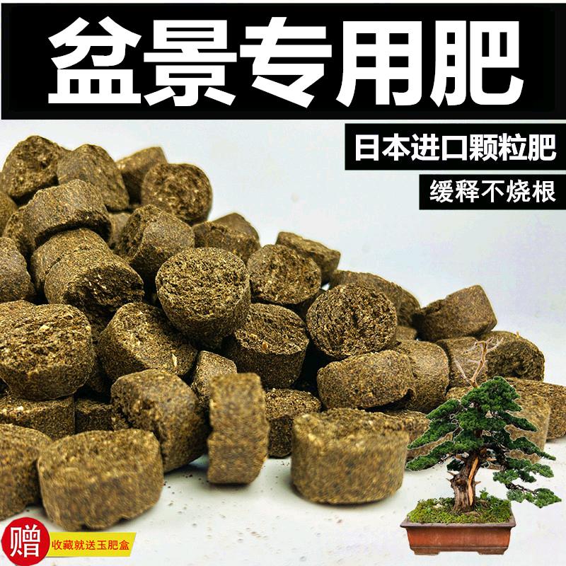 腾鸿农业