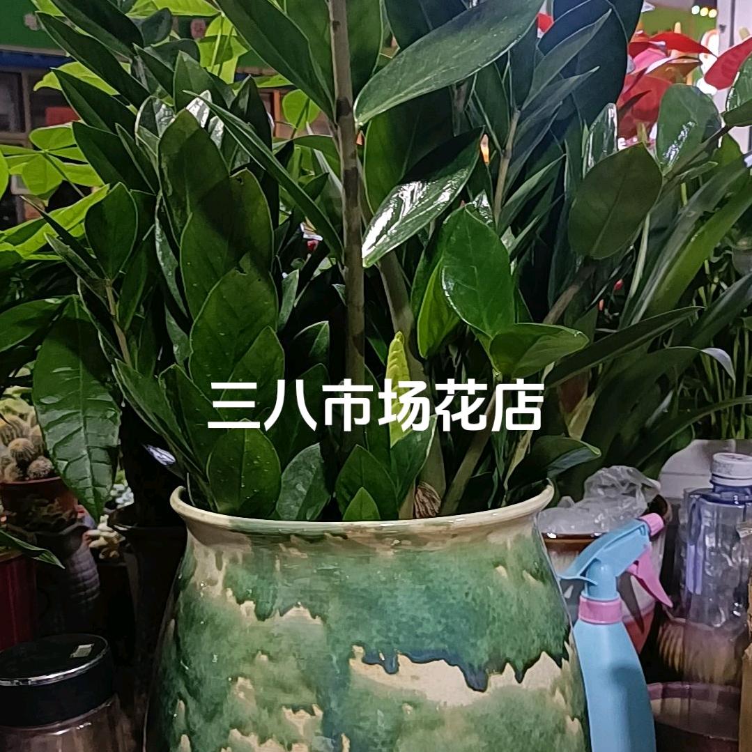 @阳光姐姐