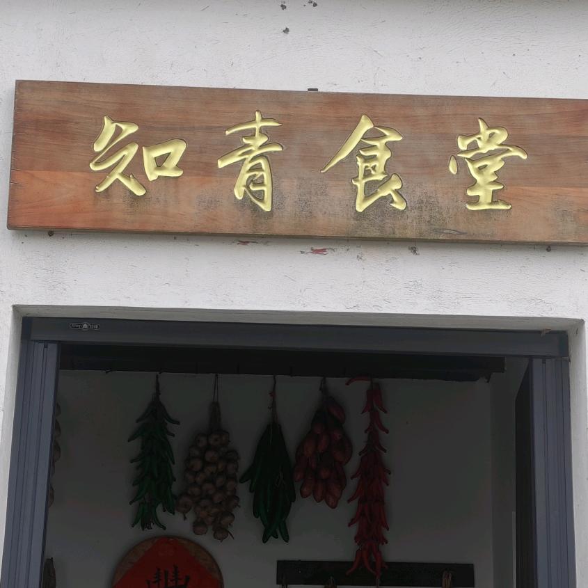 不瘦20斤不减肥