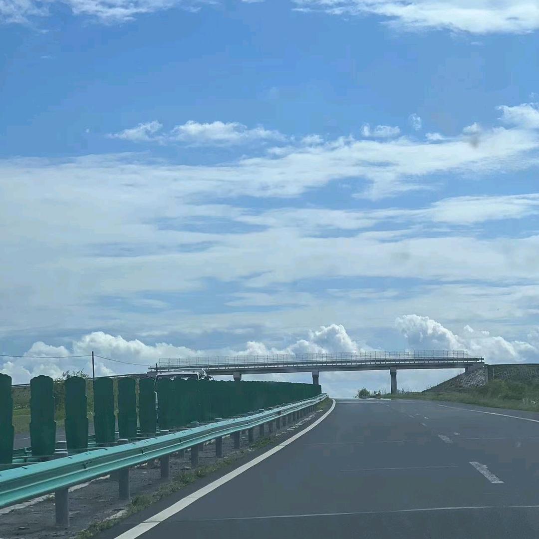 小白中白