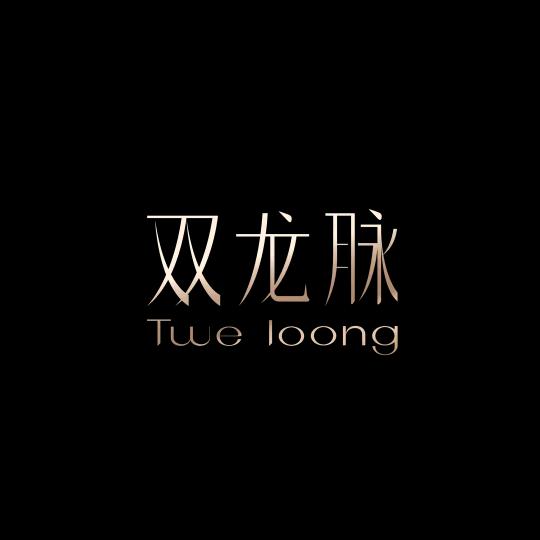 双龙脉美容仪