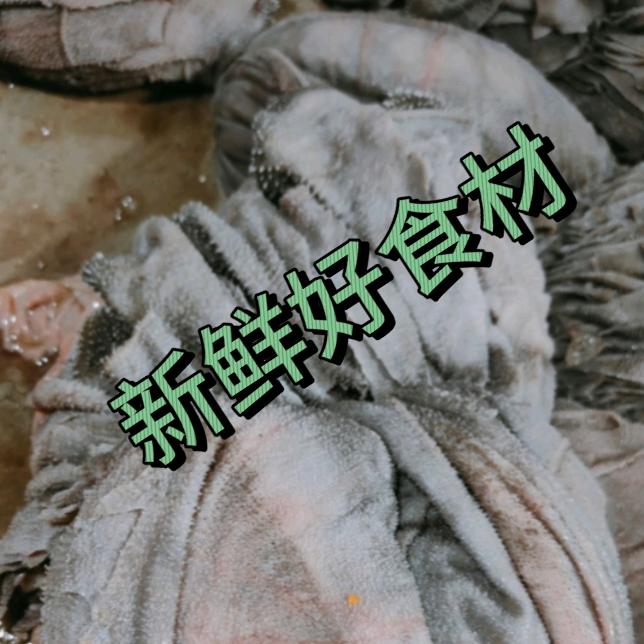 重庆火锅食材毛肚全国销售