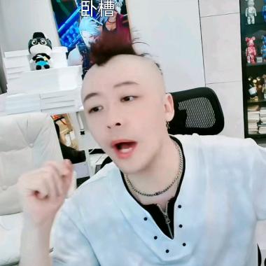 老猫的绝育医师
