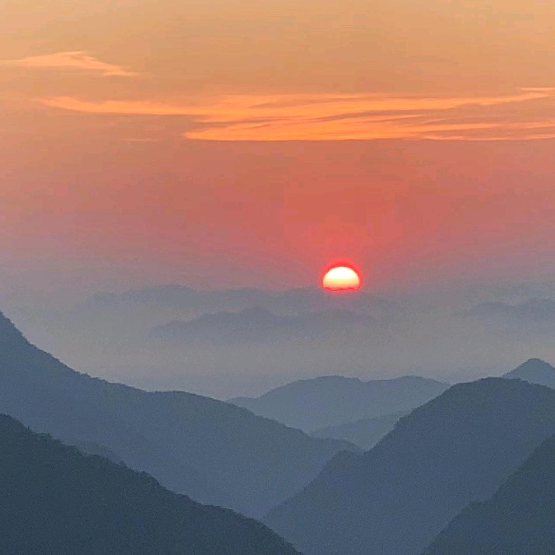 阿清干货批发商行