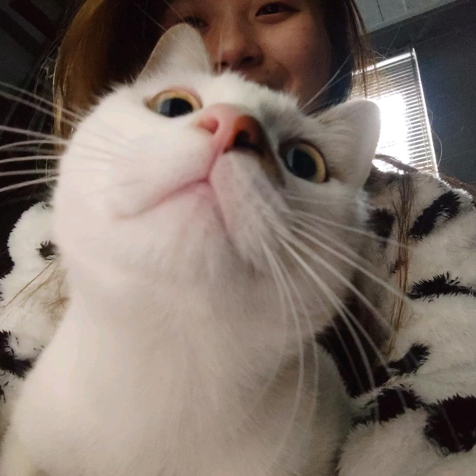 小刘和功德