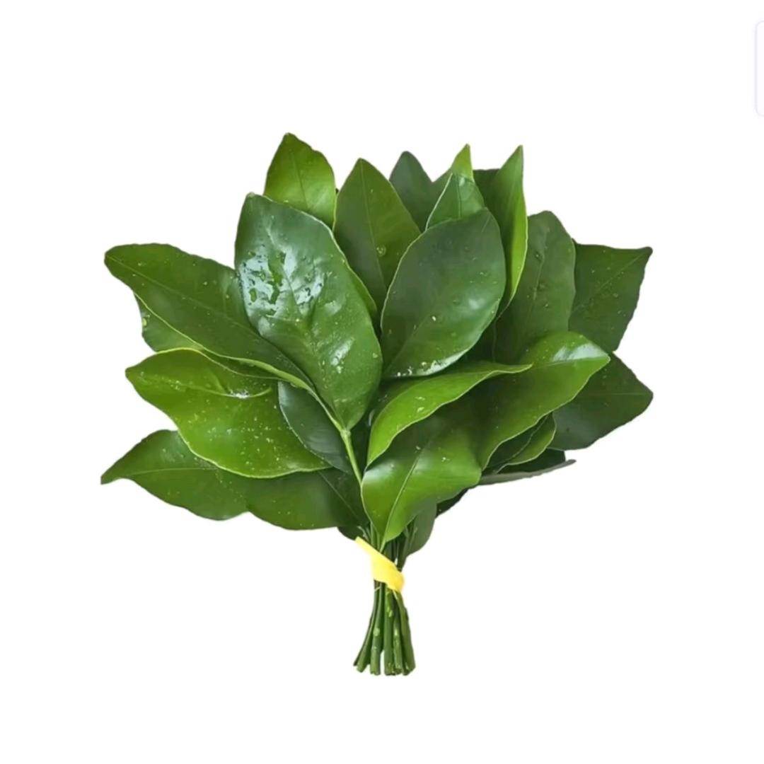 小西柚柚子（好运来）