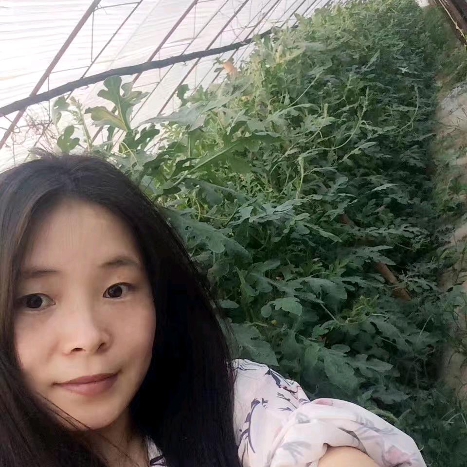 北京誉源田西瓜销售中心
