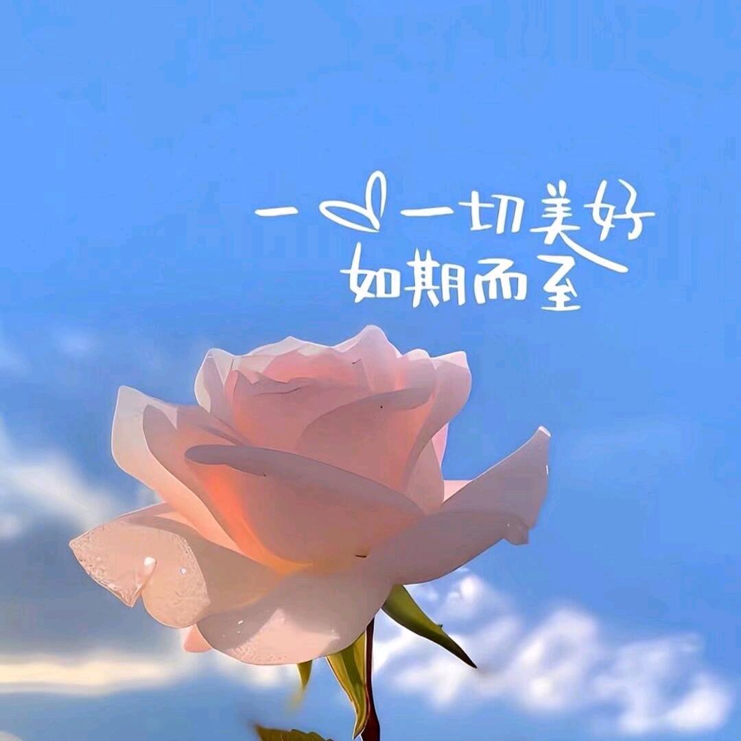 富贵旺财