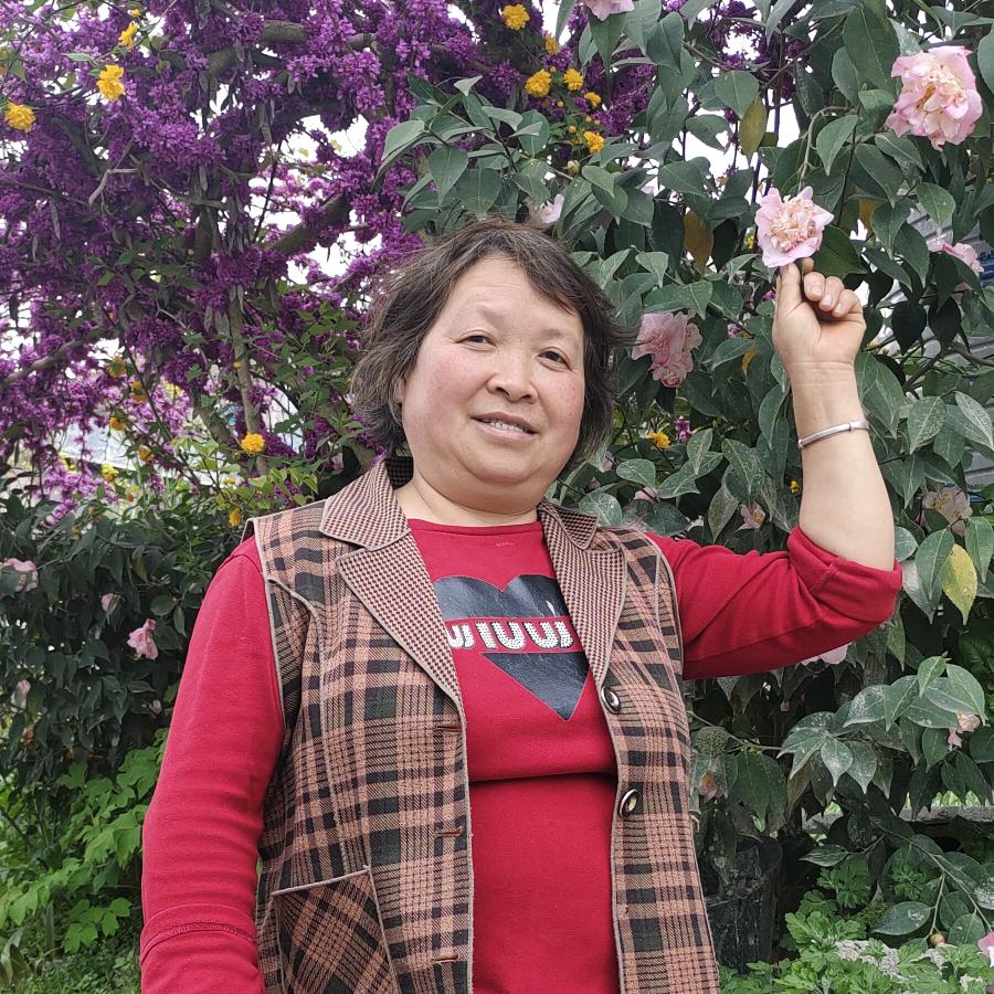 农村杨大姐