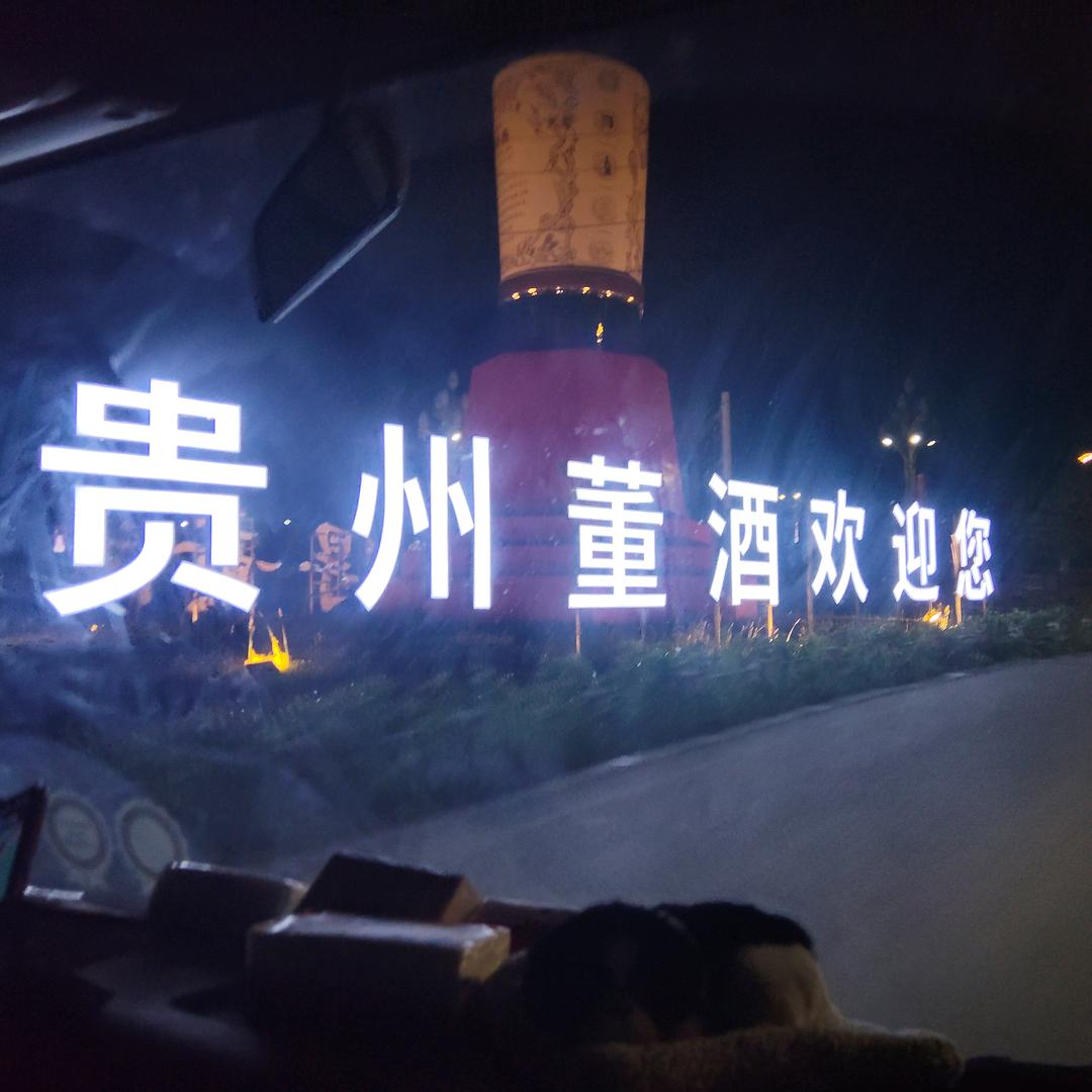 牵着小猫看月亮