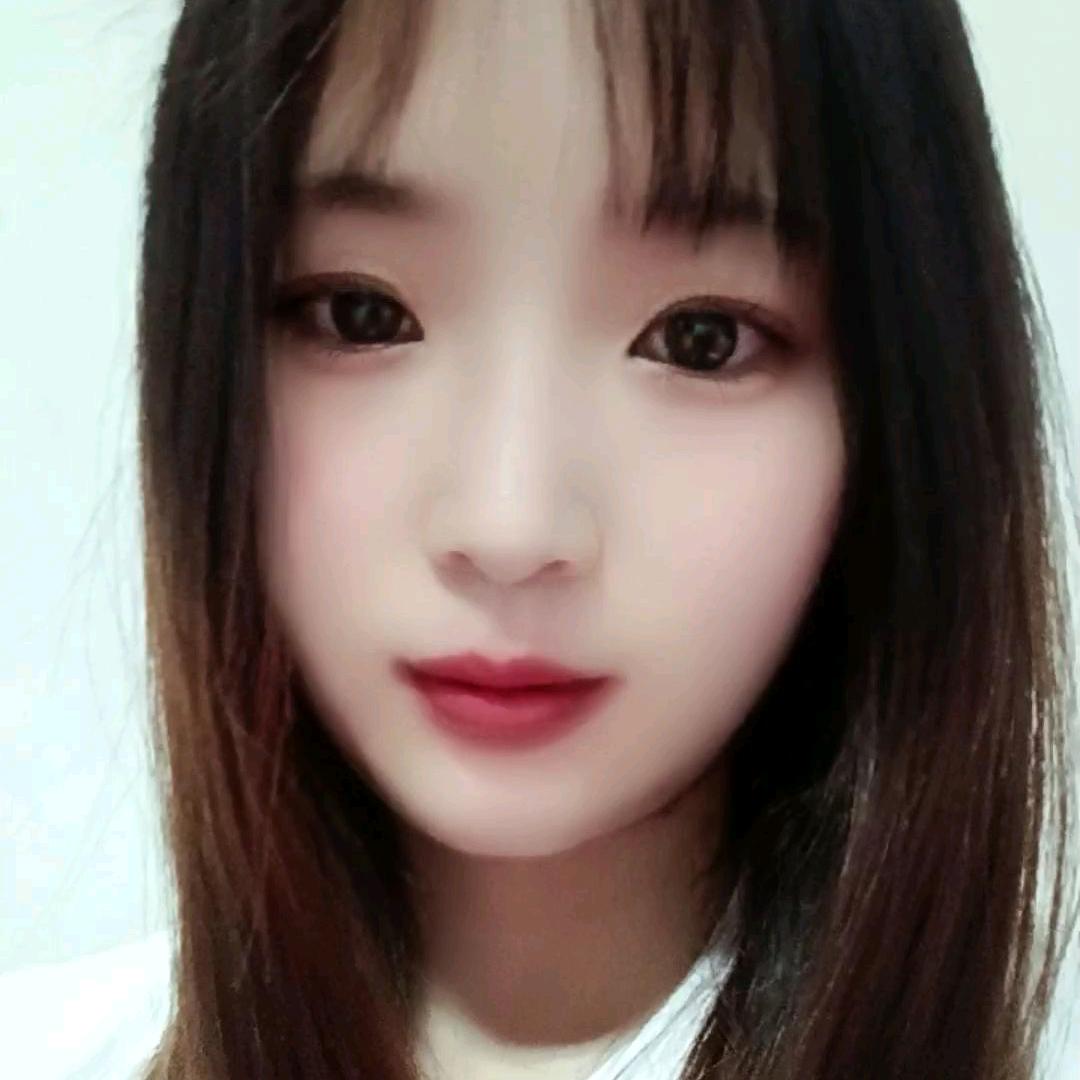 小菊菊