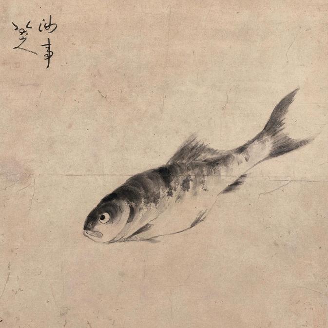 水中游