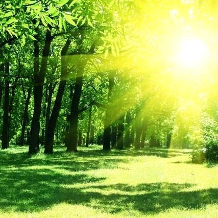 红橙黄绿青蓝紫