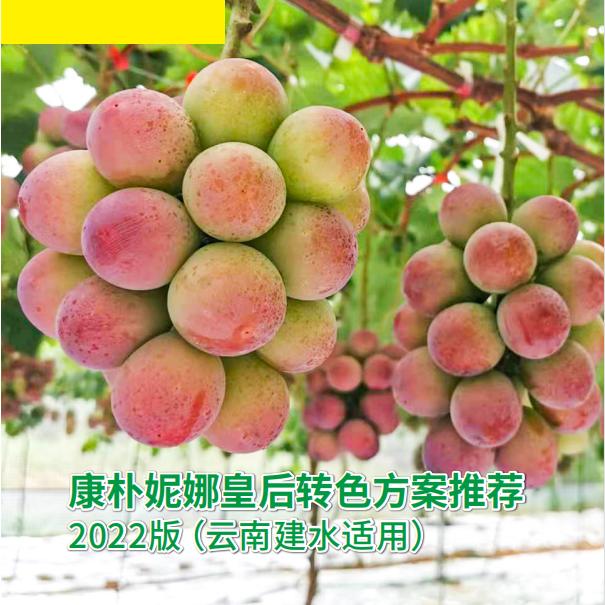 田间小哥