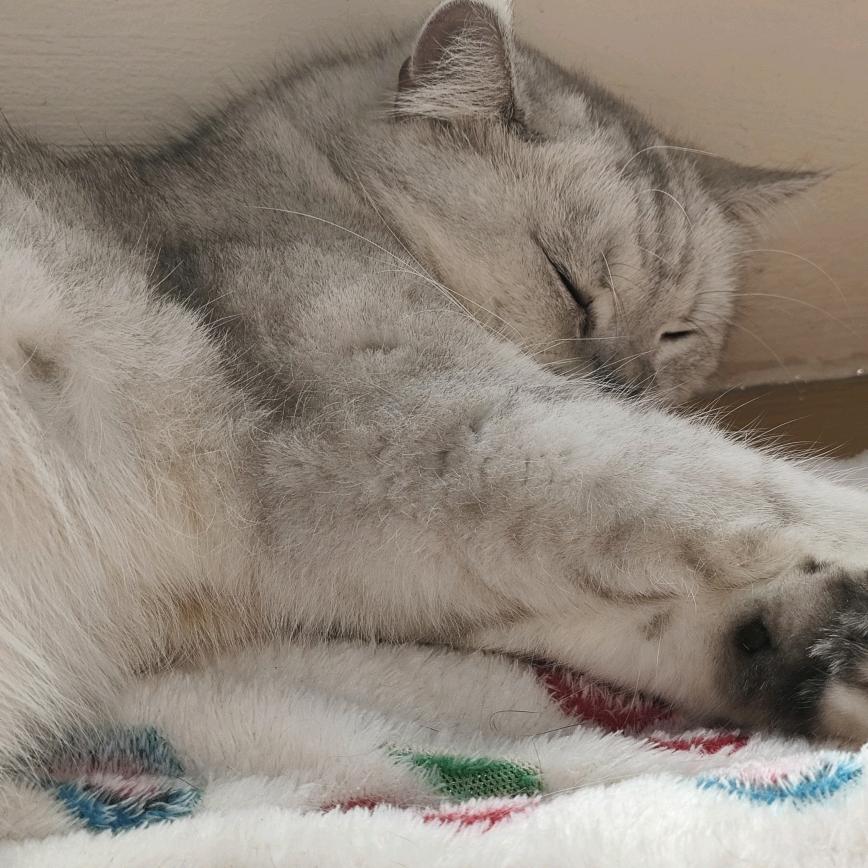 “sleep