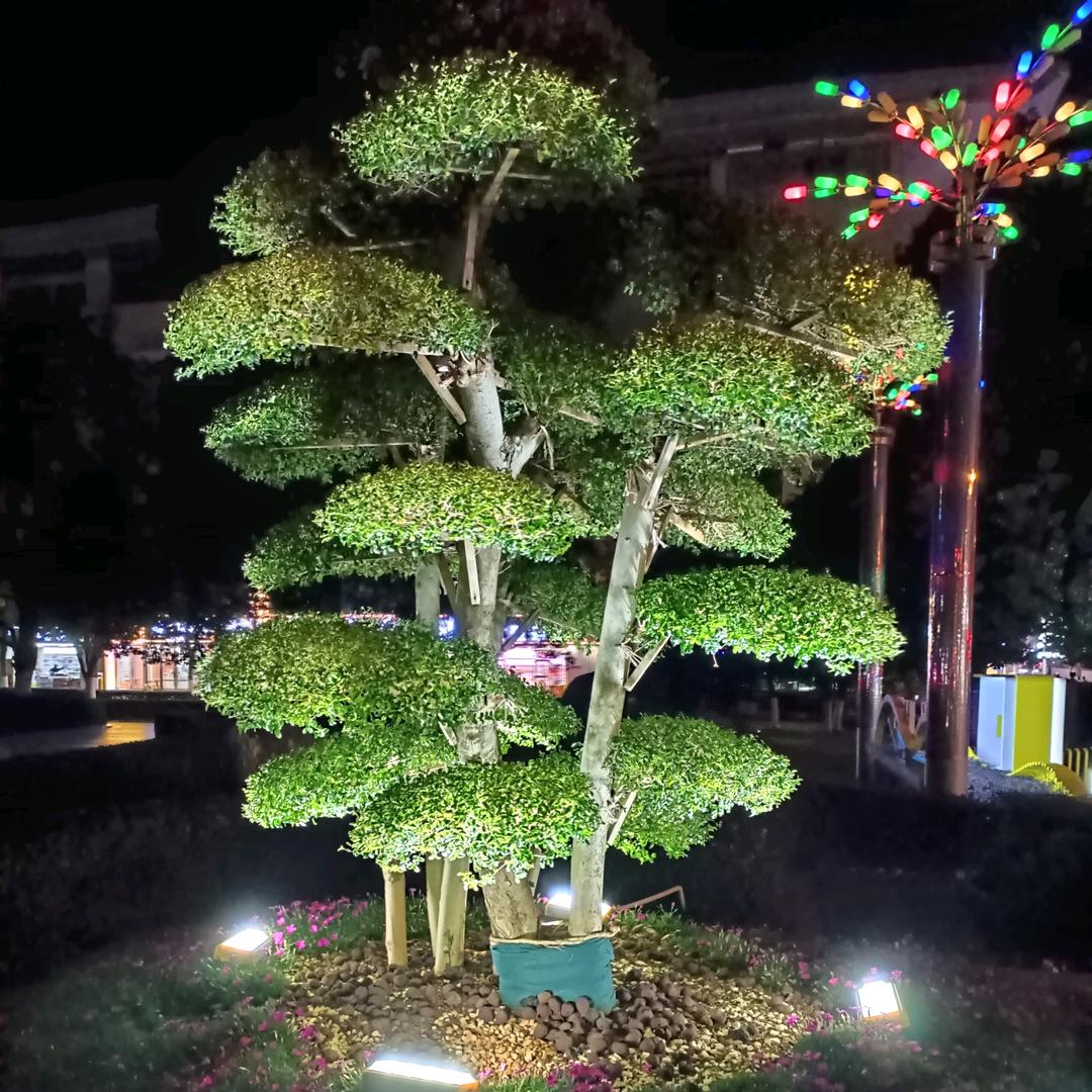 心只有你
