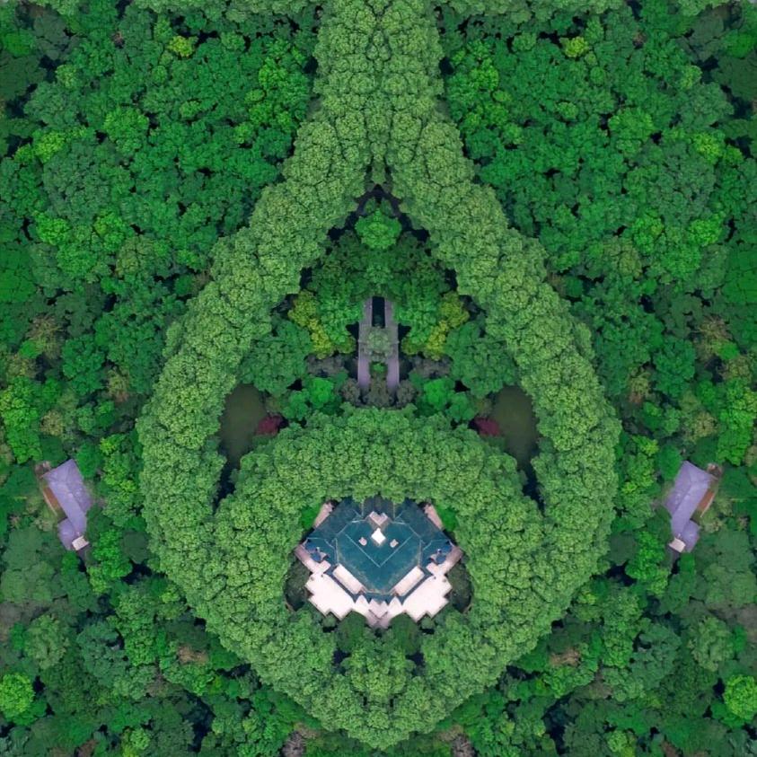 快乐无边🐰好运常在🌹