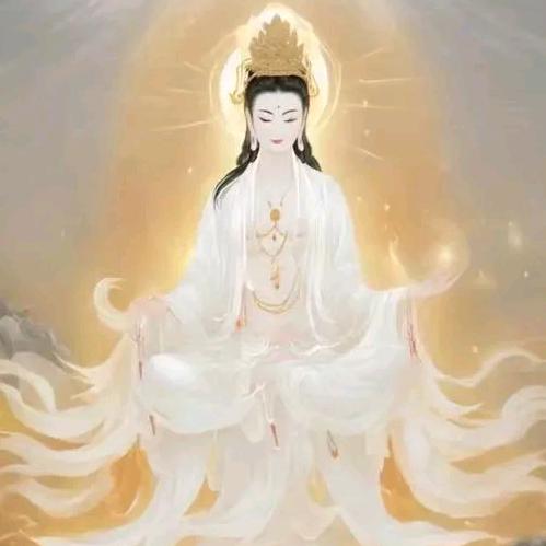 妙🌻善