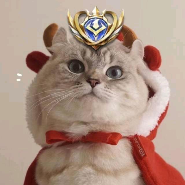 王者荣耀飞踢流打野-小才