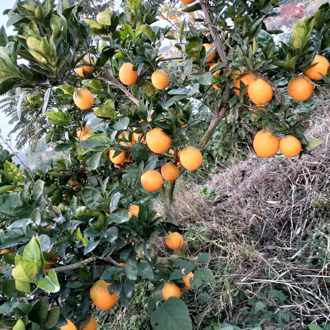 珍惜身边每个人~相识是缘