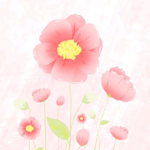 Fairy♥