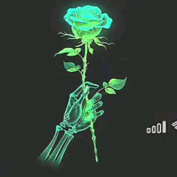 初来人间不知苦