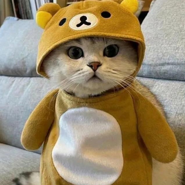 光