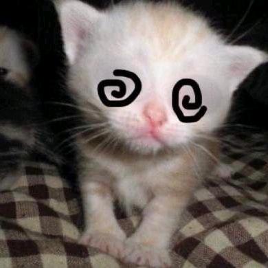 宅宅炸物