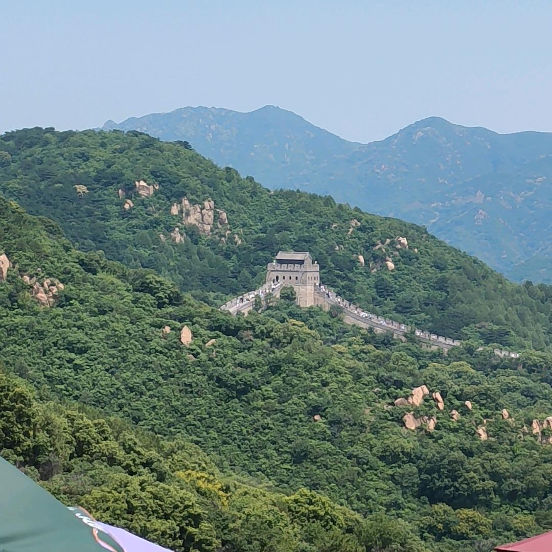 初心不改 🗑️