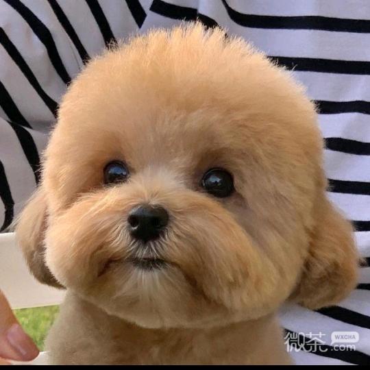 没有经验的应届生