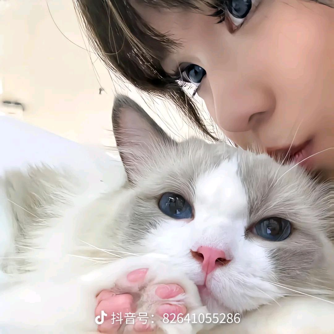 南有嘉木·☆