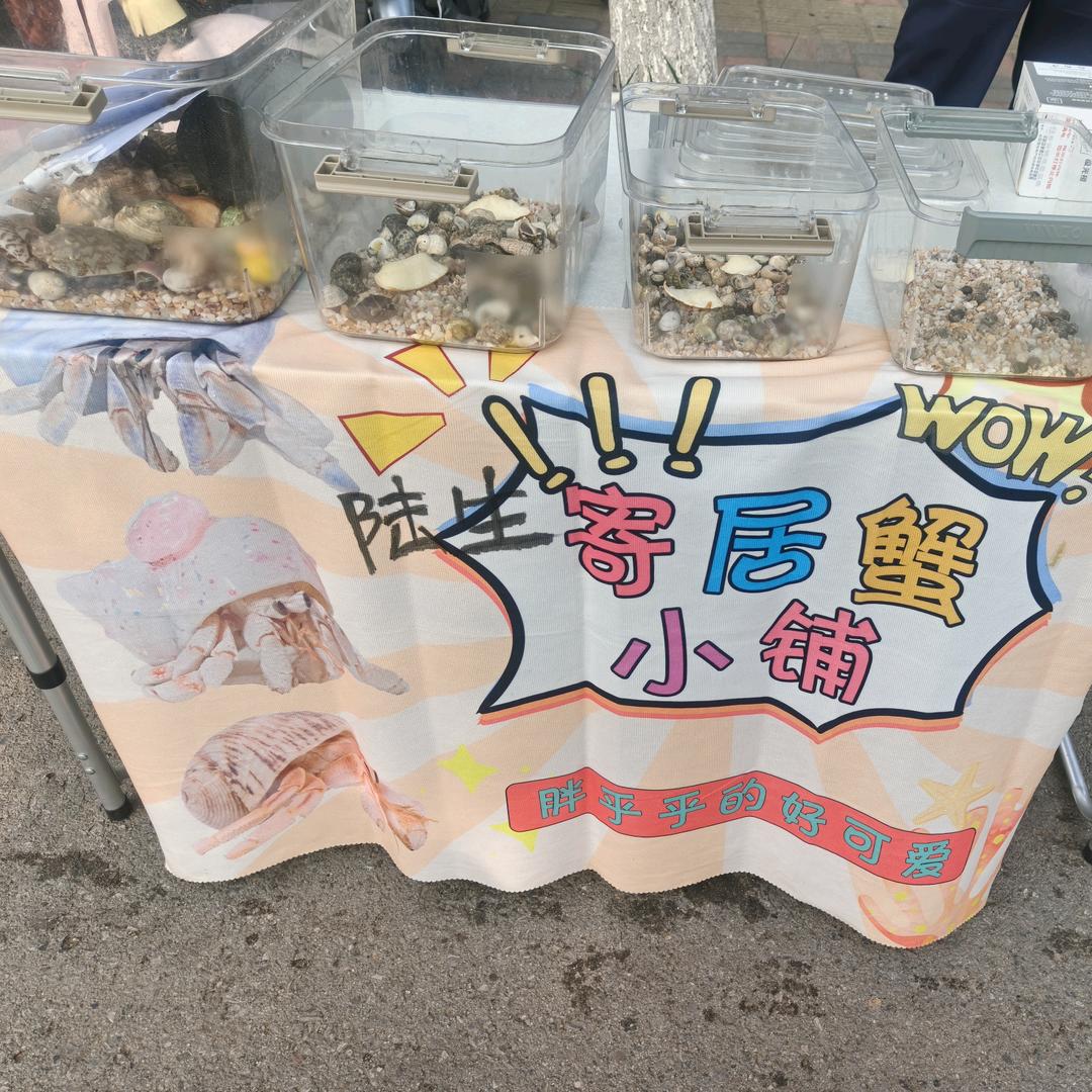 蟹蟹蟹小铺