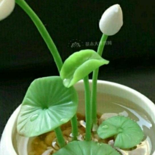 安然