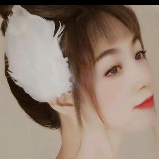樱花蝶恋