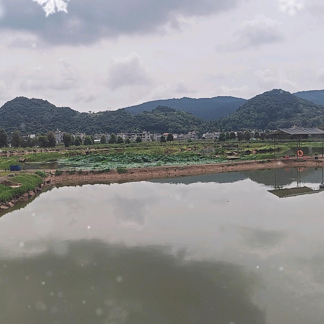罗平关塘垂钓园