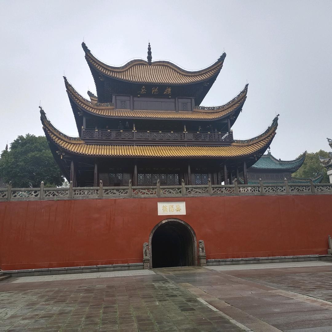 无极精华书店，眼镜店头像