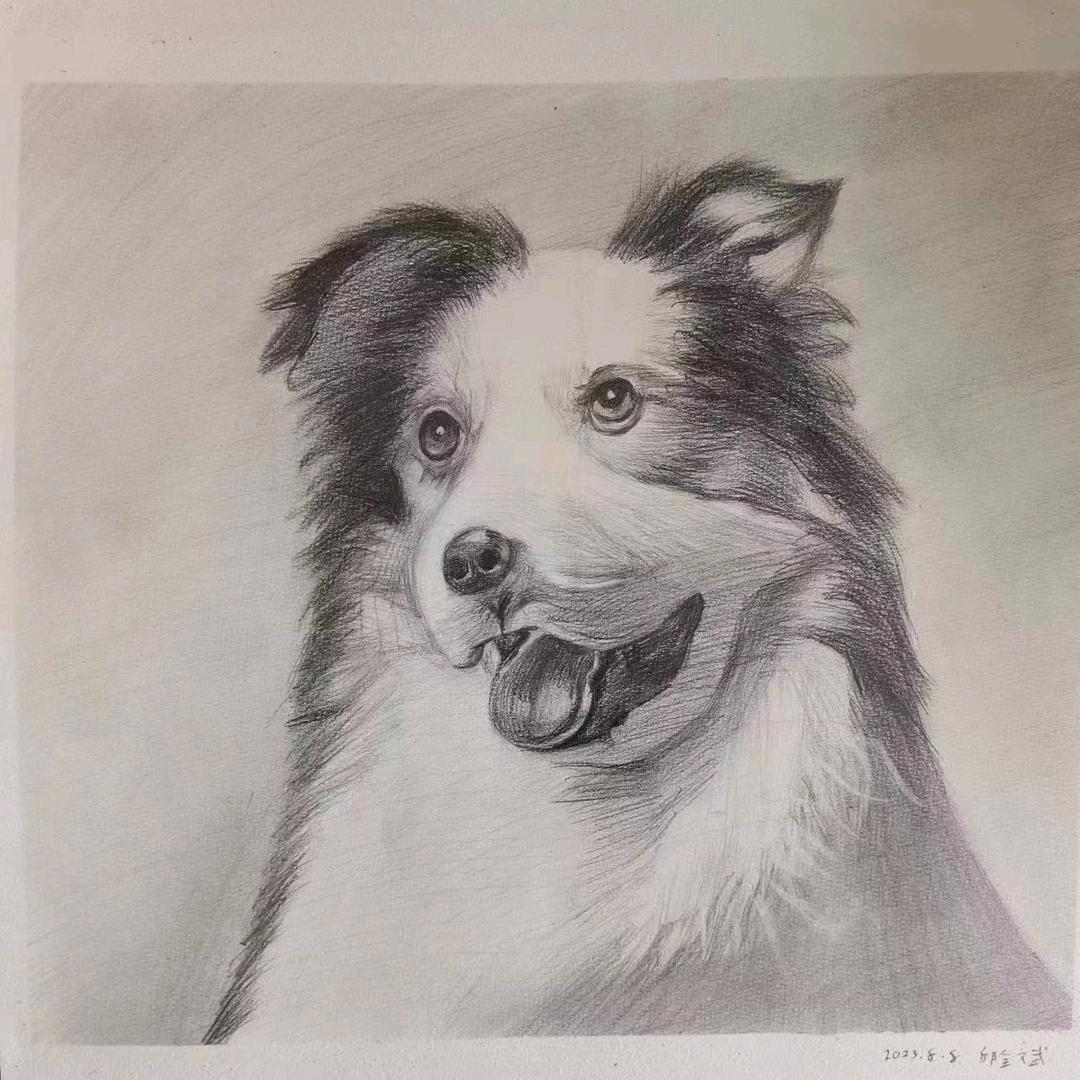 已重置