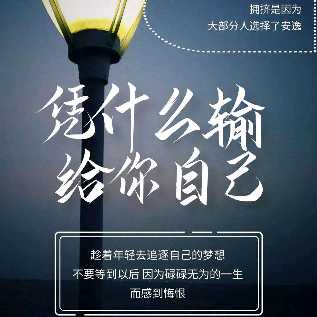 派龙专营店