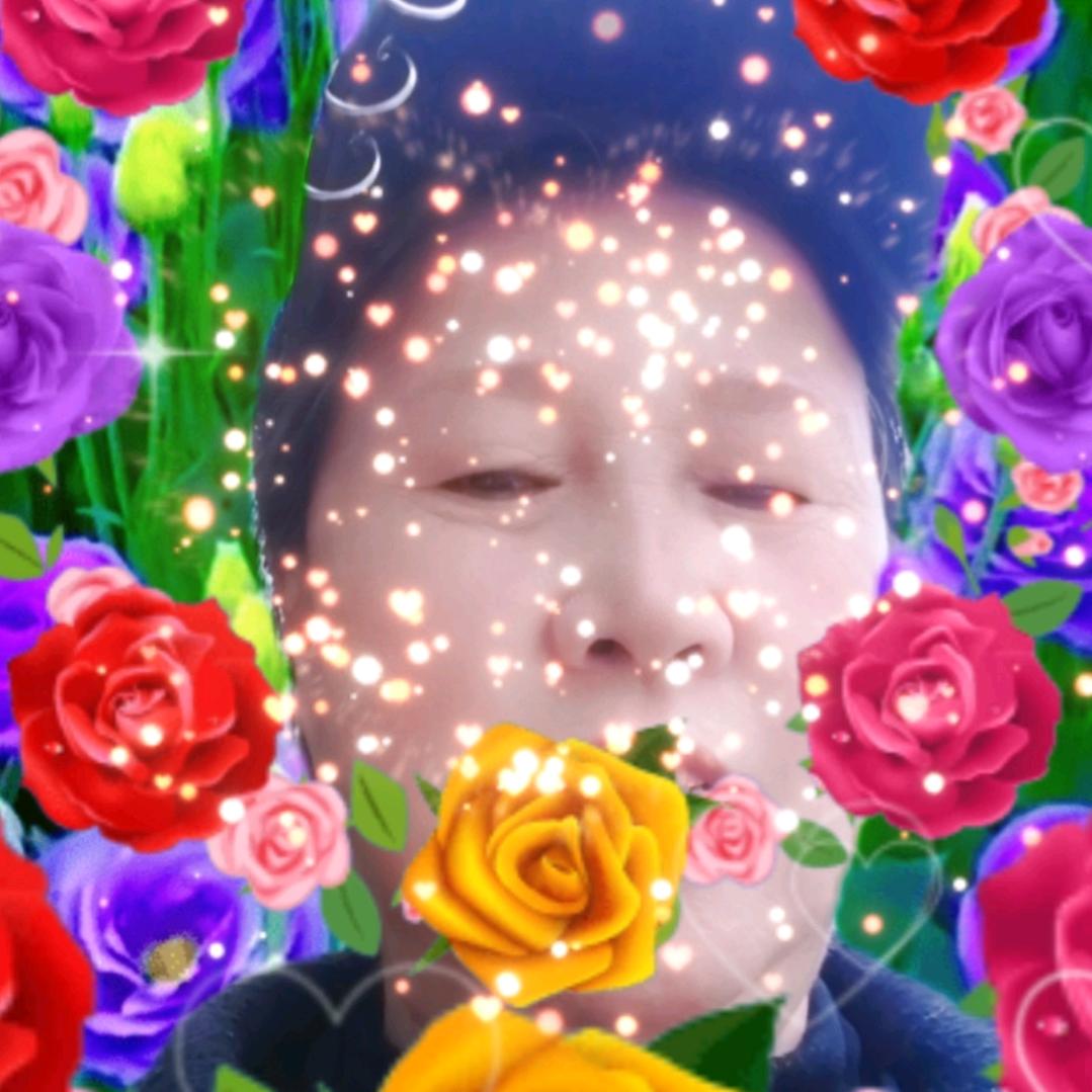 陶石珍