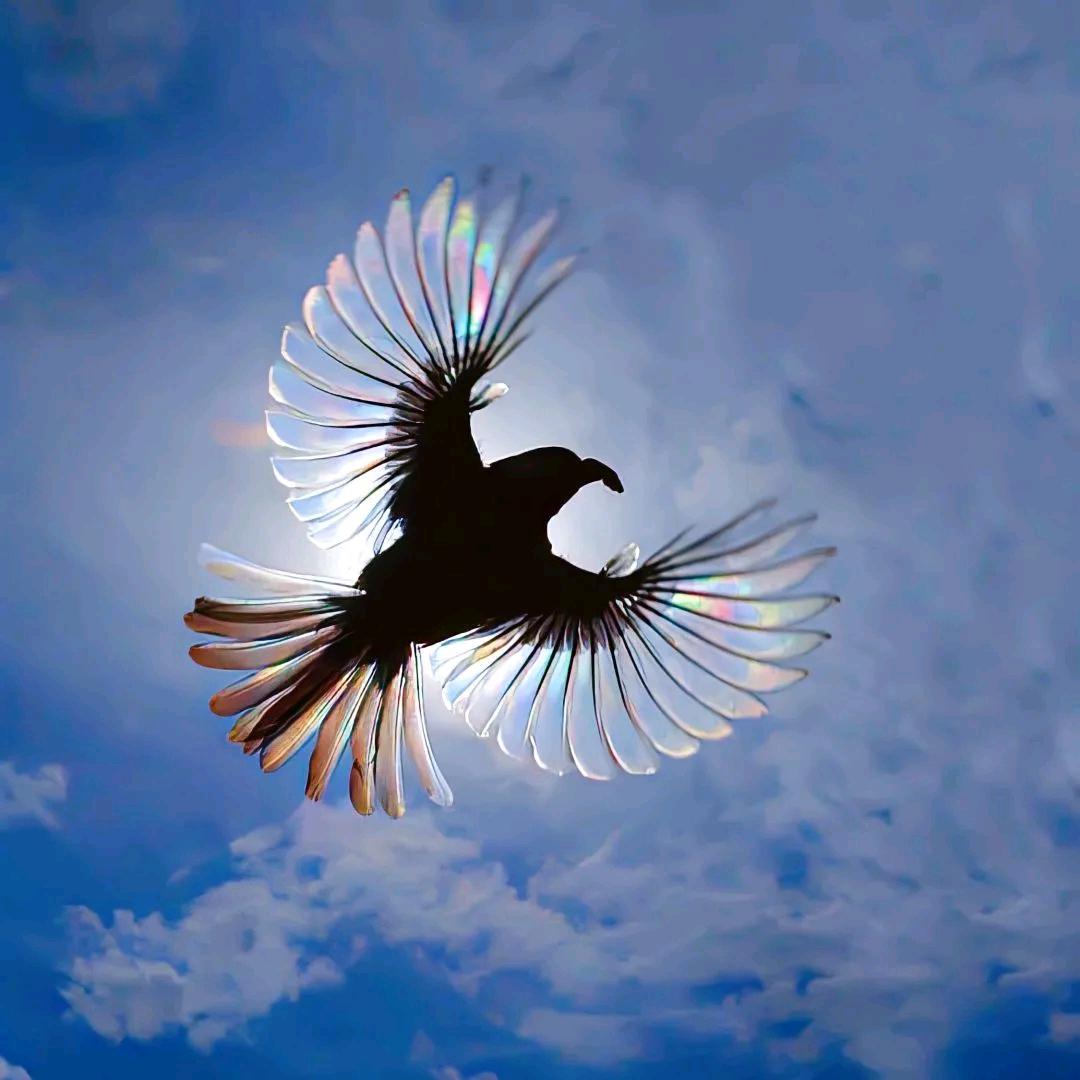 煮酒为伊念安夕