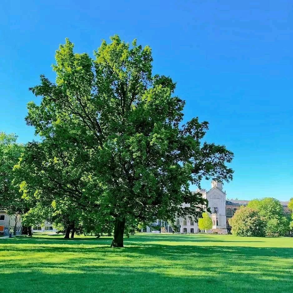 室内设计师芊同