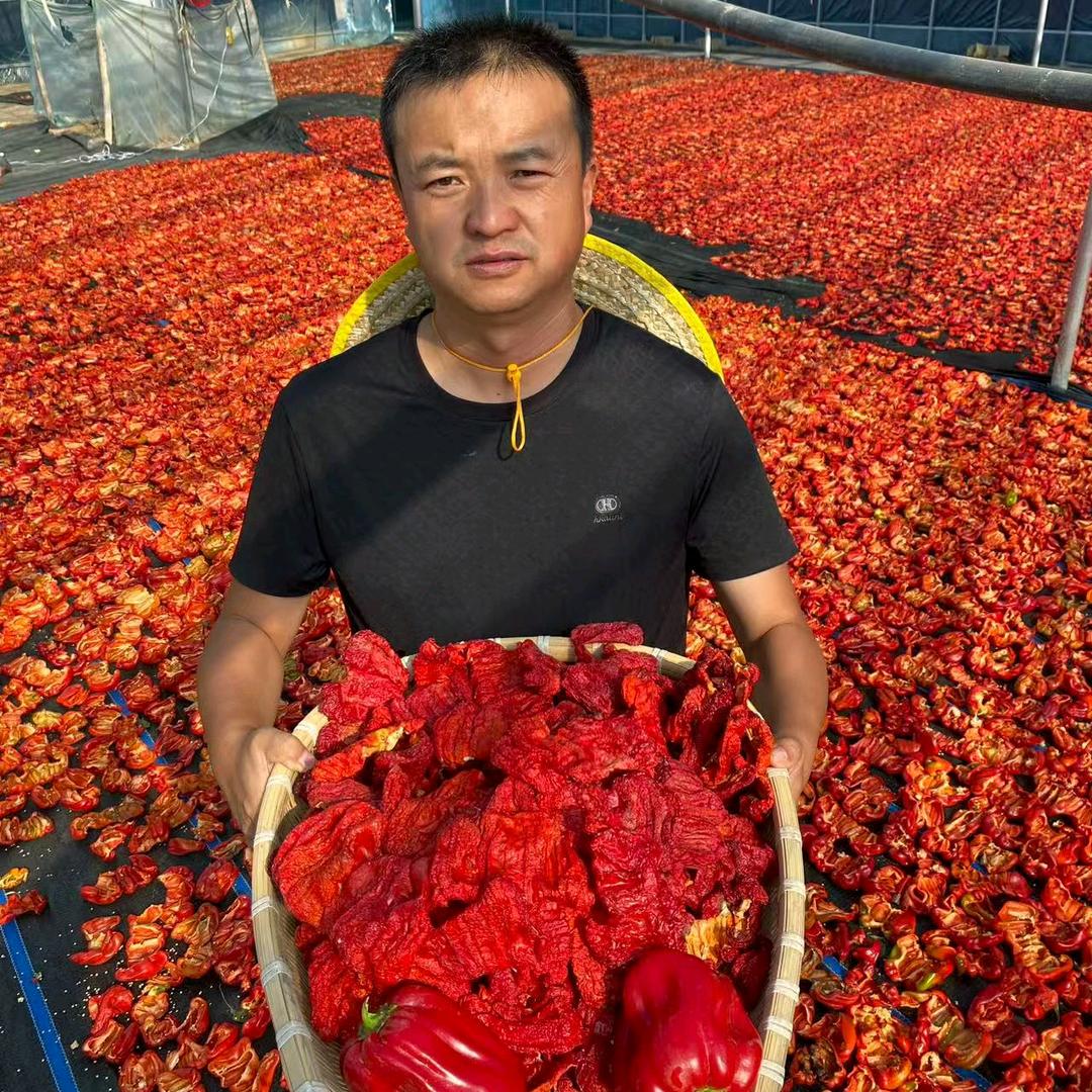 行疆憨戈