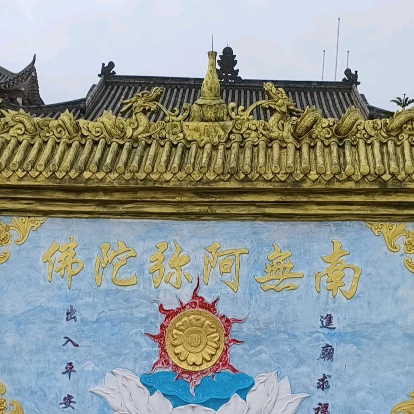 现实人生