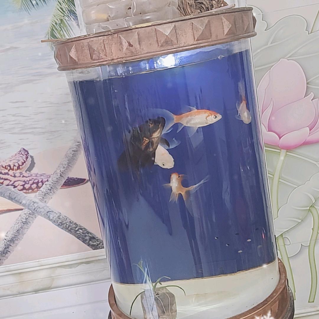 用户6717225857670，实打实