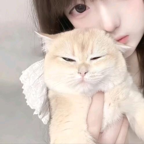 只只控