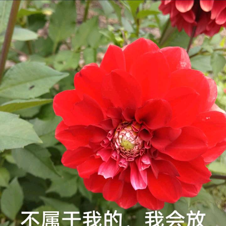 未来可期，.1314
