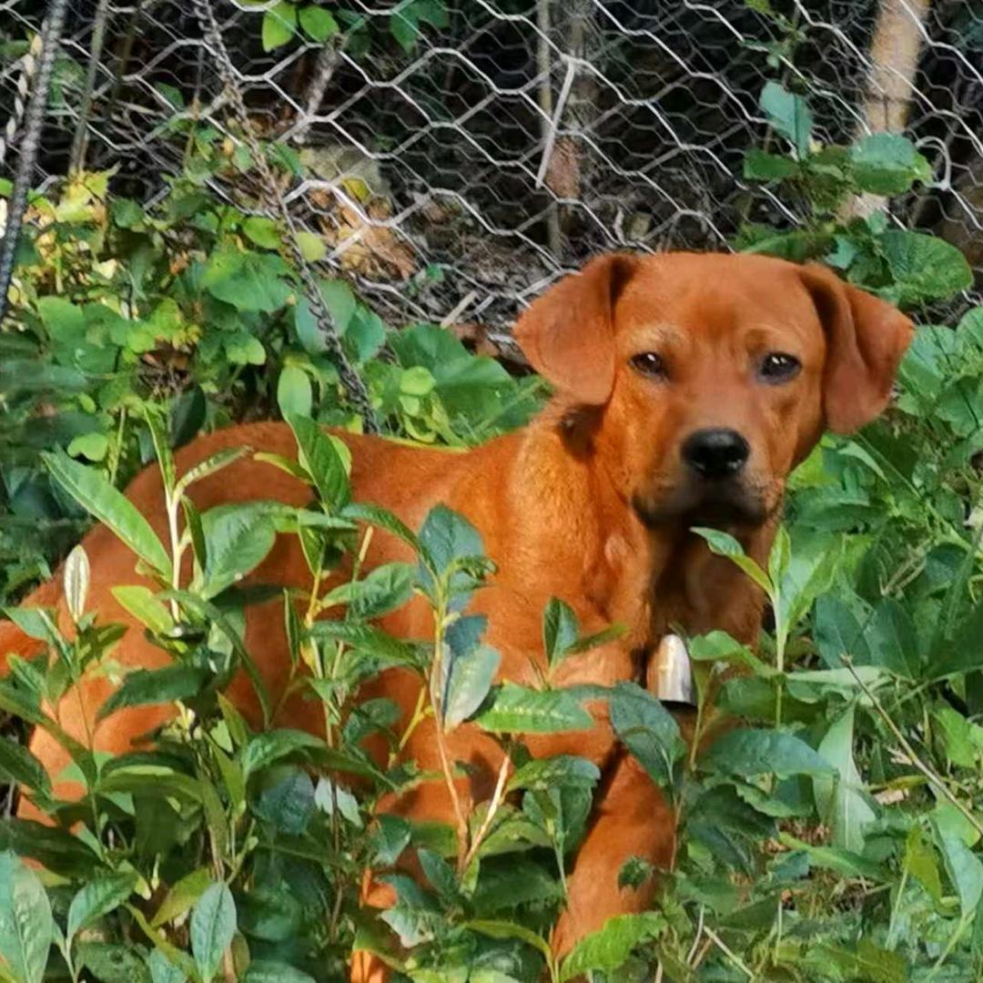 ꧁༺༽༾ཊ野钓覃哥ཏ༿༼༻꧂