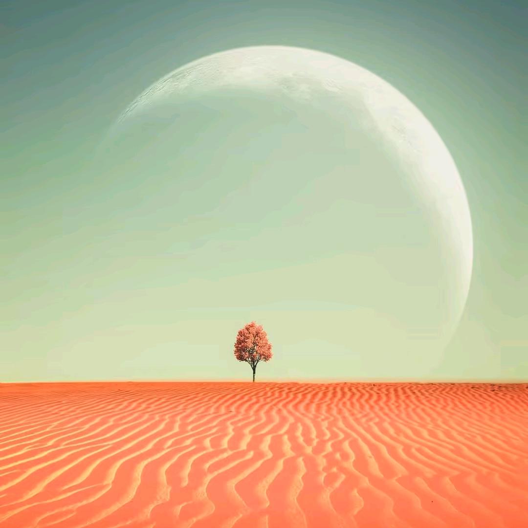 丽芳家用百货甄选