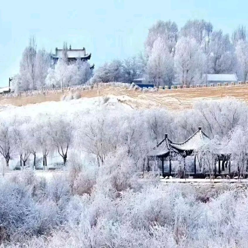 无脑入侵
