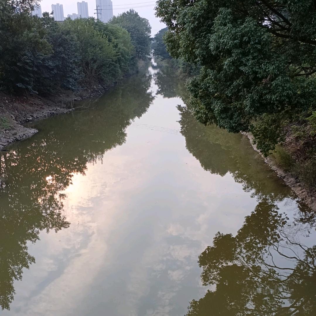 雨天的太阳